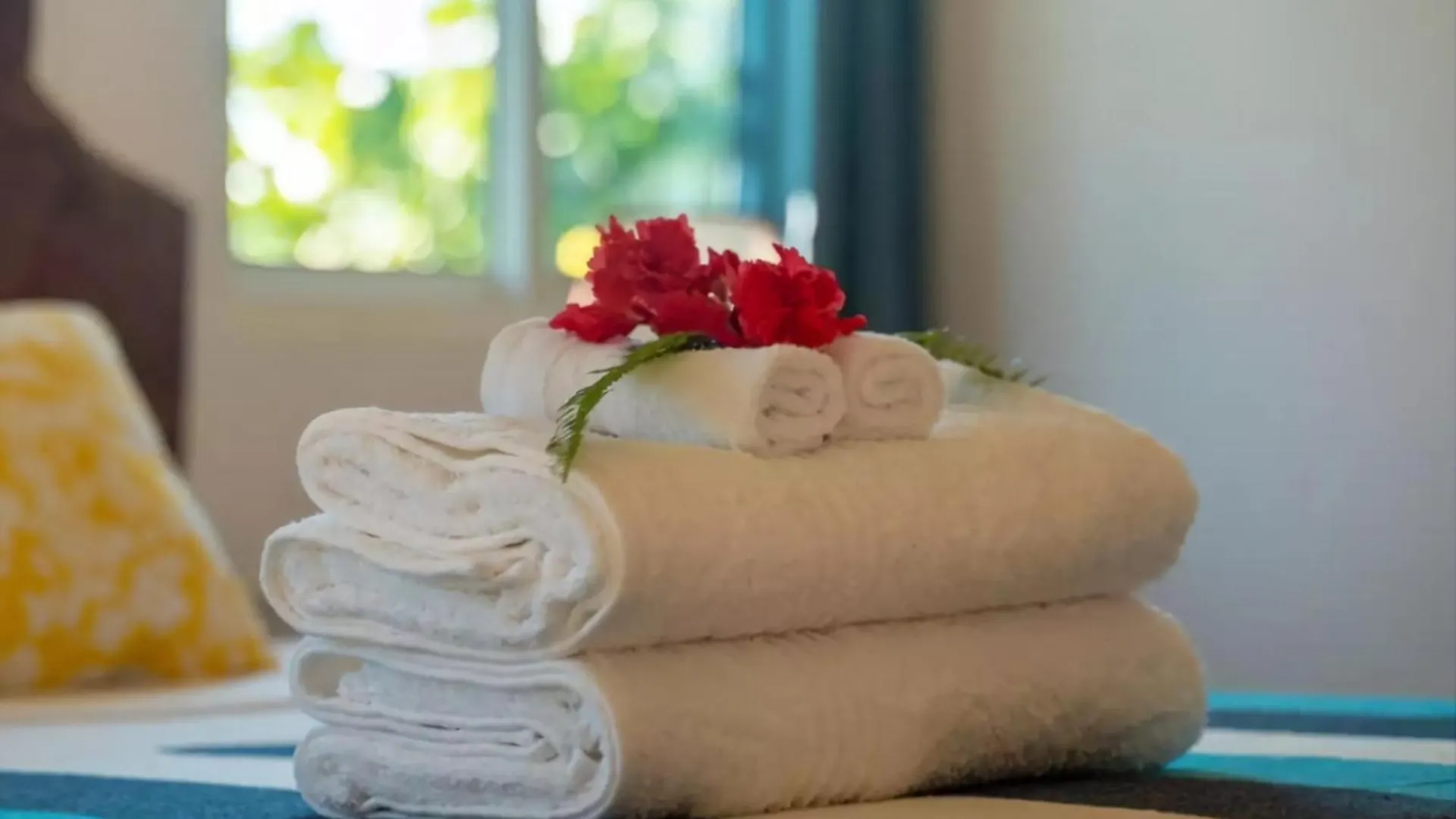 Milles Montagnes Residence Anse Royale